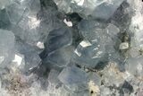 Blue Celestine (Celestite) Crystal Geode - Madagascar #70830-1